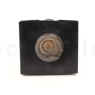 Preserved Rose In Glass Bowl Peach