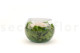 Preserved Rose In Glass Bowl Peach 4