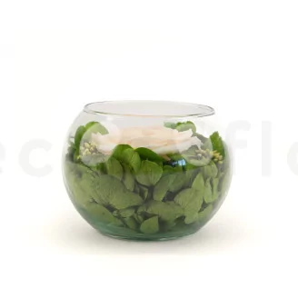 Preserved Rose In Glass Bowl Peach