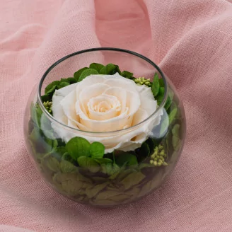 Preserved Rose In Glass Bowl Peach