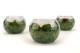 Preserved Rose In Glass Bowl Peach 9