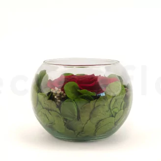 Preserved Rose In Glass Bowl Red