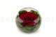 Preserved Rose In Glass Bowl Red 2