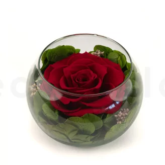 Preserved Rose In Glass Bowl Red