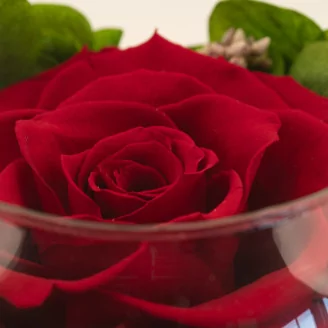 Preserved Rose In Glass Bowl Red