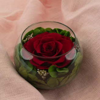 Preserved Rose In Glass Bowl Red