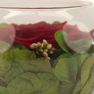 Preserved Rose In Glass Bowl Red
