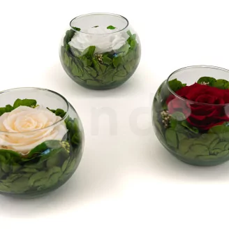Preserved Rose In Glass Bowl White