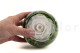 Preserved Rose In Glass Bowl White 5