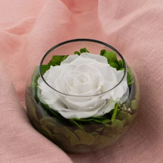 Preserved Rose In Glass Bowl White