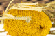 Dried Banksia Hookeriana - 1 Stem - Yellow 2