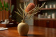 Dried Banksia Hookeriana - 1 Stem - Old rose 1