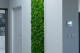 Preserved Pole Moss Light Green (Bulk Box) 2