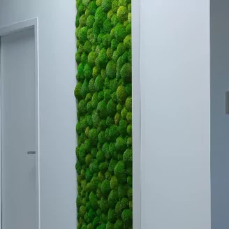 Preserved Pole Moss Light Green (Bulk Box)