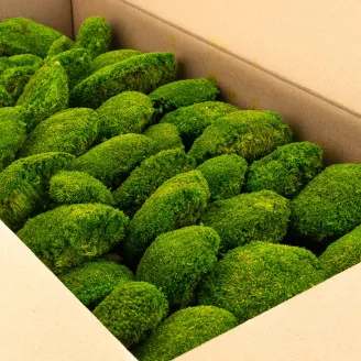 Preserved Pole Moss Light Green (Bulk Box)
