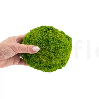 Preserved Pole Moss Light Green (Bulk Box)