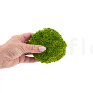 Preserved Pole Moss Light Green (Bulk Box)