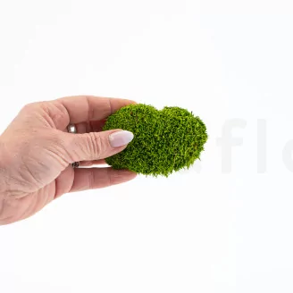 Preserved Pole Moss Light Green (Bulk Box)