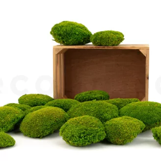 Preserved Pole Moss Light Green (Bulk Box)