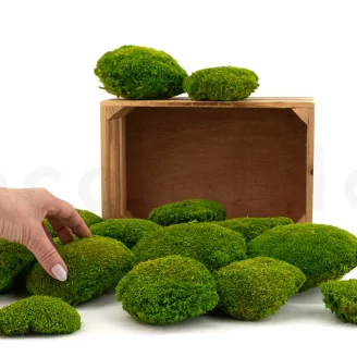 Preserved Pole Moss Light Green (Bulk Box)