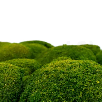 Preserved Pole Moss Light Green (Bulk Box)