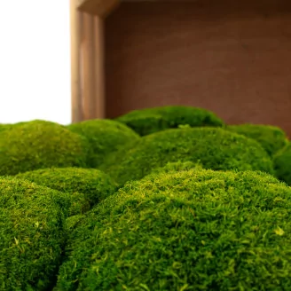 Preserved Pole Moss Light Green (Bulk Box)