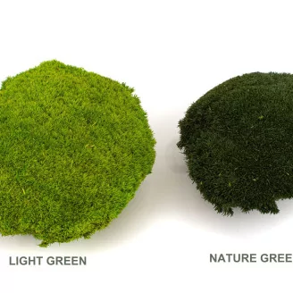Preserved Pole Moss Light Green (Bulk Box)