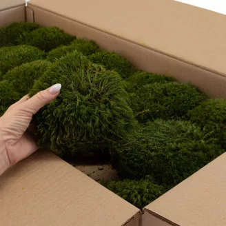 Preserved Mood Moss Nature Green (Bulk Box)