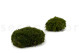 Preserved Mood Moss - Bulk Box - Nature Green 3