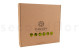 Preserved Reindeer Moss Lime Green (Box) 10