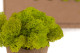 Preserved Reindeer Moss - Box 1 kg - Lime Green 4