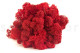 Preserved Reindeer Moss - Box 1 kg - Red 1