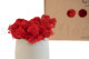 Preserved Reindeer Moss - Box - Red 2