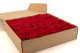Preserved Reindeer Moss - Box - Red 3