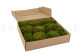 Preserved Hair Moss - Box - Light Green 6
