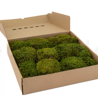 Preserved Hair Moss (Box)