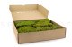 Preserved Rock Moss - Box - Green 3