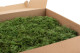 Preserved Fern Moss - Box - Green 2