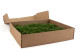 Preserved Fern Moss - Box - Green 5
