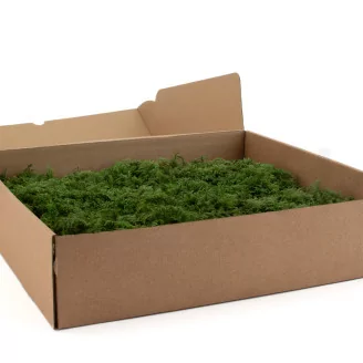 Preserved Fern Moss (Box)