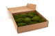 Preserved Mood Moss - Box - Nature Green 9
