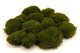 Preserved Mood Moss - Box - Nature Green 4