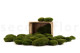 Preserved Pole Moss Nature Green (Bulk Box) 7