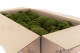 Preserved Pole Moss Nature Green (Bulk Box) 3