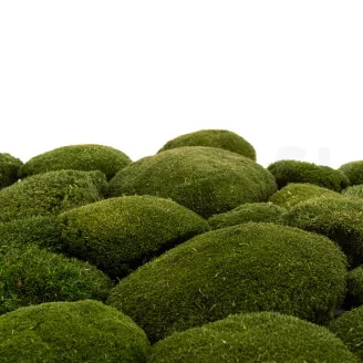 Preserved Pole Moss Nature Green (Bulk Box)