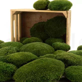 Preserved Pole Moss Nature Green (Bulk Box)