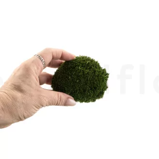 Preserved Pole Moss Nature Green (Bulk Box)