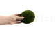 Preserved Pole Moss Nature Green (Bulk Box) 5
