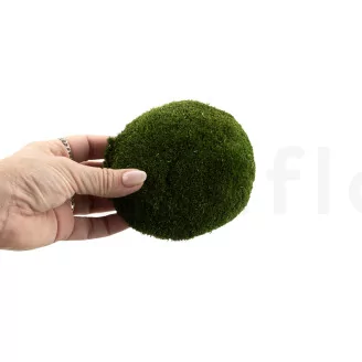 Preserved Pole Moss Nature Green (Bulk Box)