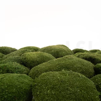 Preserved Pole Moss Nature Green (Bulk Box)